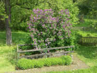 8.Mai 001.jpg (201569 Byte)