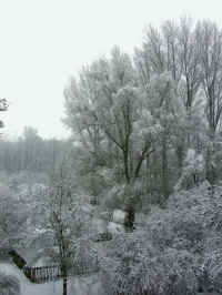 Schnee 002.jpg (113727 Byte)