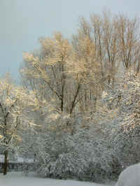 Schnee 009.jpg (120262 Byte)