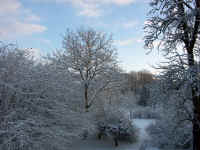 Schnee 020.jpg (185063 Byte)