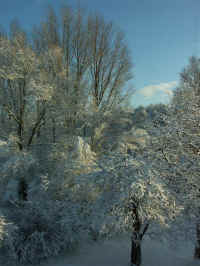 Schnee 028.jpg (107656 Byte)