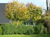 Herbst-20.jpg (101401 Byte)