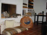 Charly_Lucy_3.jpg (114723 Byte)