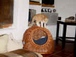 Charly_Lucy_7.jpg (109525 Byte)