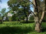 Pict0022.jpg (100539 Byte)