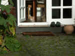 Pict0046.jpg (101053 Byte)
