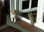 Pict0056.jpg (97727 Byte)