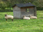 Pict0059.jpg (100863 Byte)