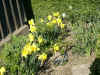 03290001.jpg (210060 Byte)