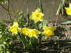 03290002.jpg (212626 Byte)