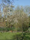 03290005.jpg (276535 Byte)
