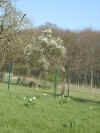 03290014.jpg (307795 Byte)
