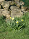 03290015.jpg (245381 Byte)