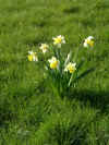 03290016.jpg (247040 Byte)