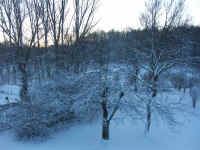 Winter 001.jpg (99630 Byte)