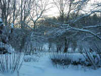 Winter 008.jpg (100047 Byte)