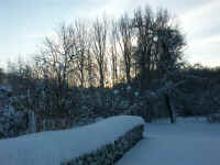 Winter 016.jpg (99773 Byte)