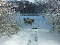 Winter 020.jpg (100509 Byte)