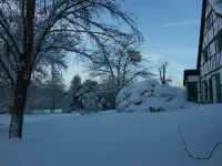 Winter 023.jpg (100262 Byte)