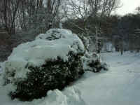 Winter 036.jpg (99806 Byte)